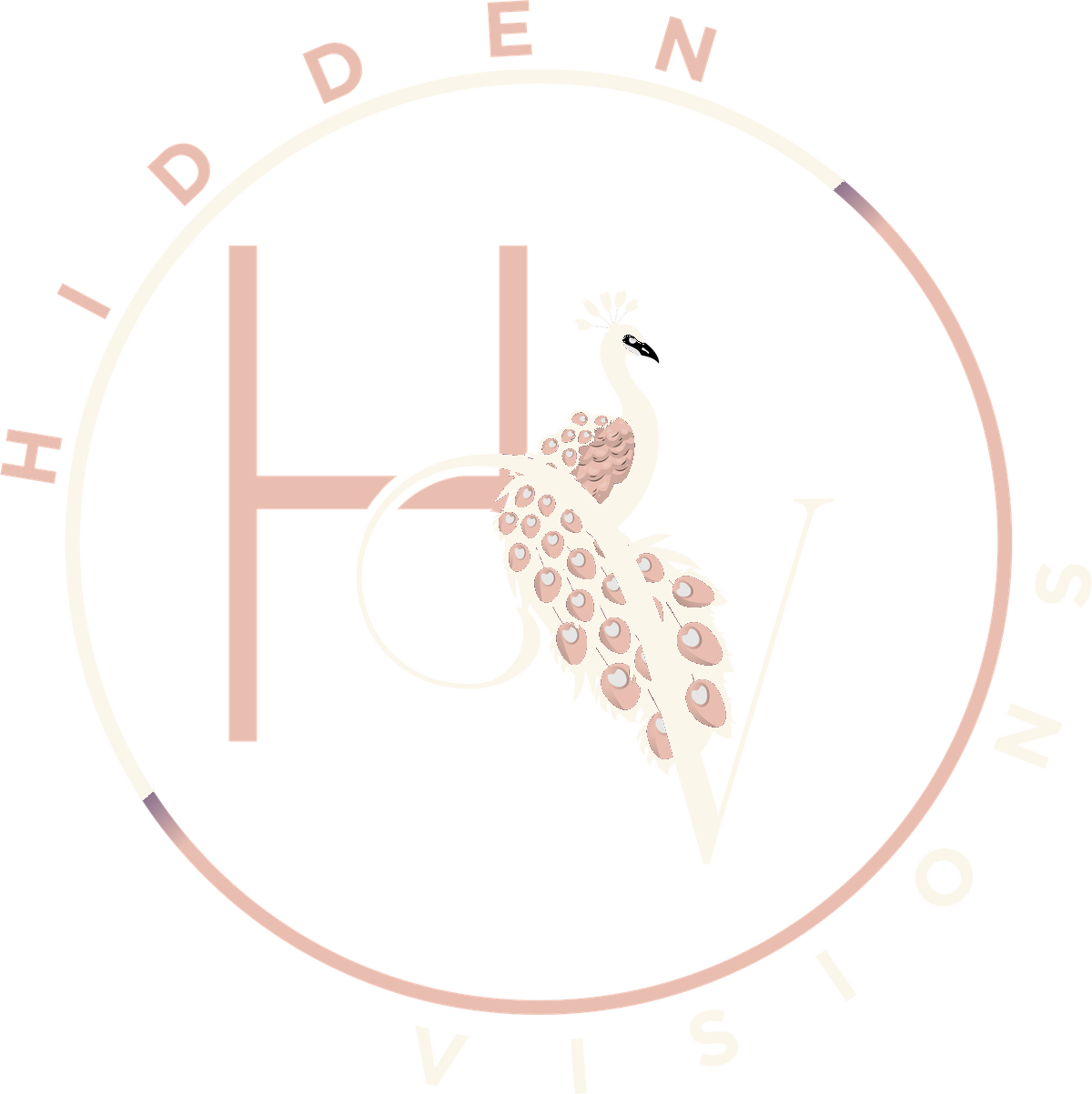 Hidden Visions